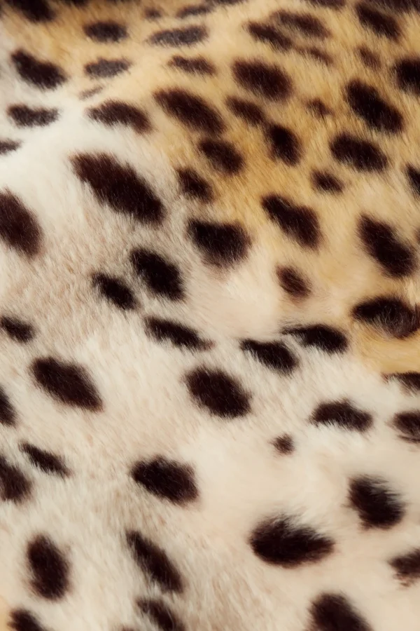 DAMES King Louie Anais Coat Cheetah Fur